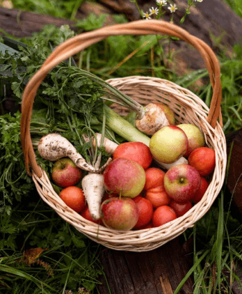 Fruit and vegetable basket